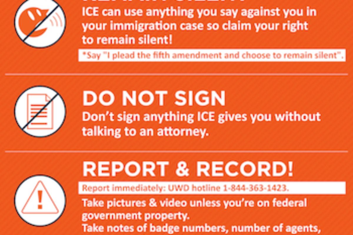 DSC’s Compiled Resources on ICE Raids and Immigrants Rights