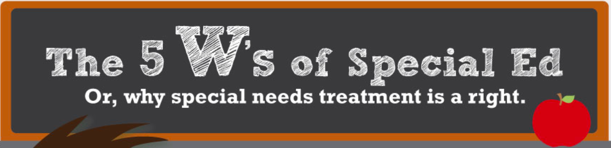 THE 5 Ws of Special Education