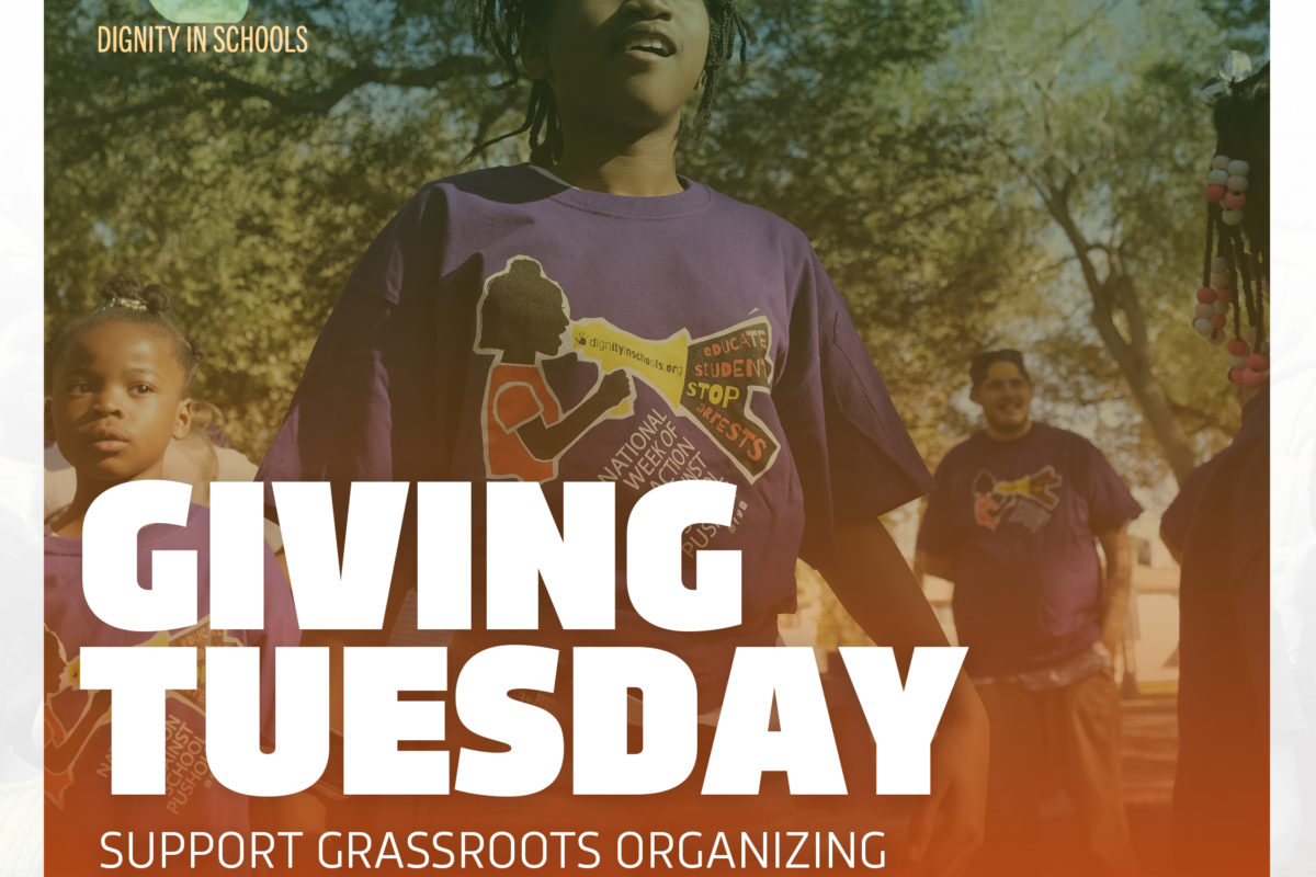 Give to DSC this upcoming #GivingTuesday