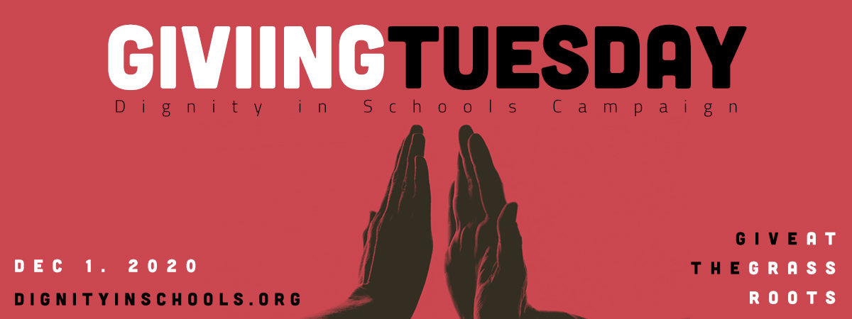 Donate to the Dignity in Schools Campaign!