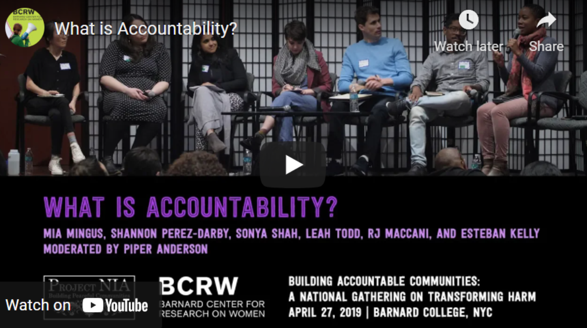 Project Nia – Video: Building Accountable Communities National Gathering
