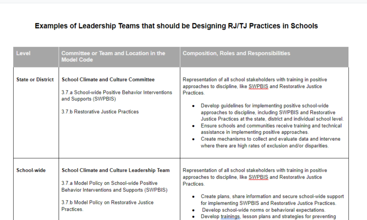 DSC – Examples of Leadership Teams that should be Designing RJ/TJ Practices in Schools